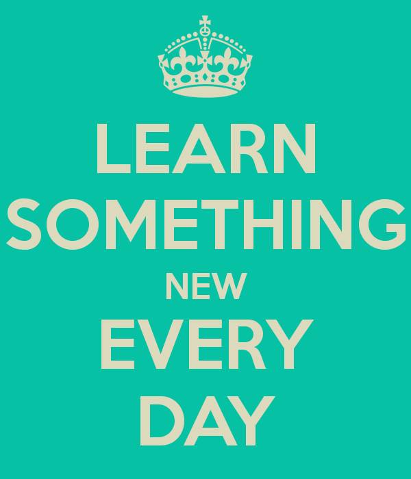 Live every day. Learn something New every Day. Learn something New everyday. Эври Дэй. How to learn English every Day?.