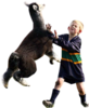 :alpaca: :alpaca: