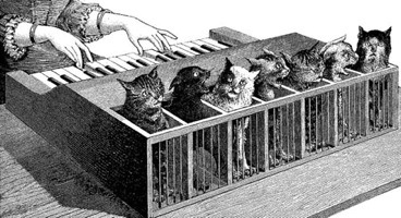 Cat_piano_1883