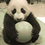 pandabear